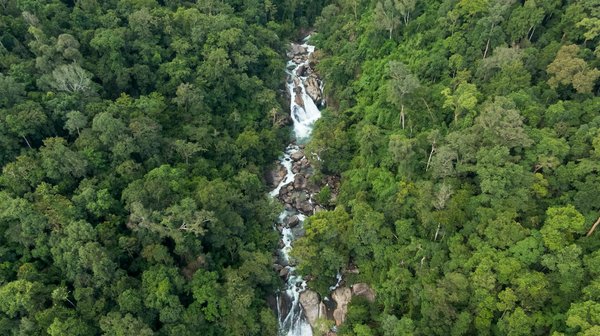 Transformer les Tendances Mode en Une Signature Personnelle : Guide Ultime